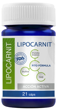 Lipocarnit